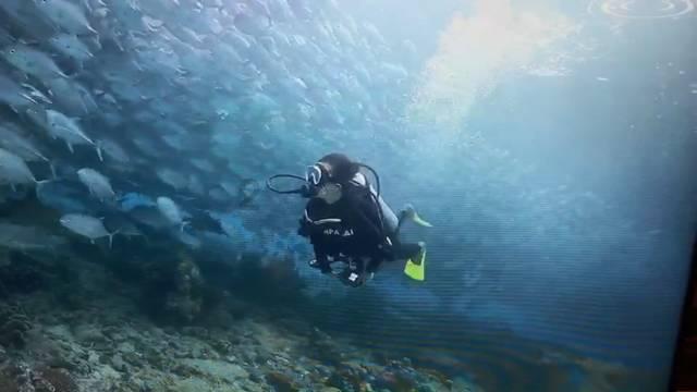 海底寻宝逃脱2