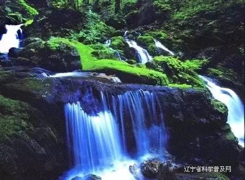 芭比一字肩