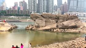 和美商小｜童心传承 浓情腊八——沁阳市李商隐小学”腊八节”主题教育活动