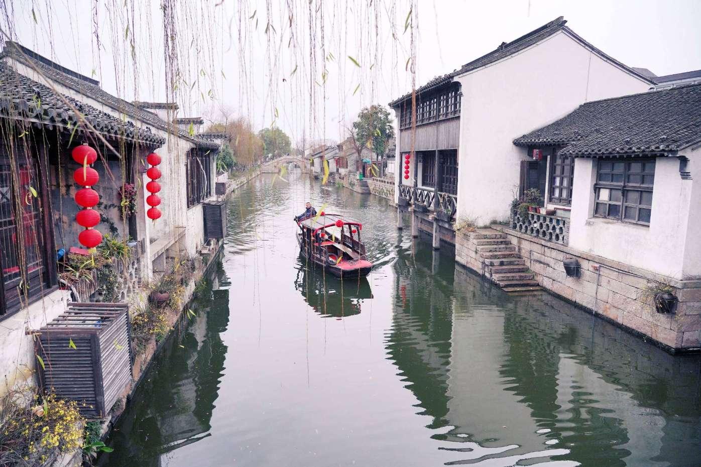 白孔雀救援