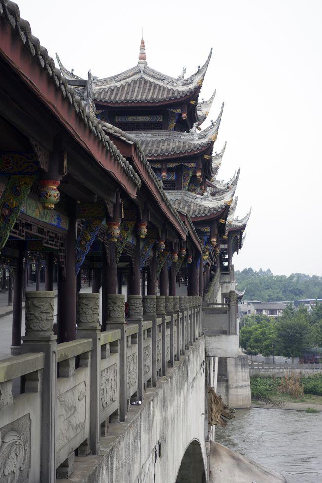 细胞分裂4